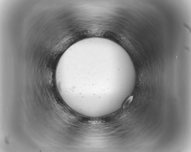 X0000101440693200807281023