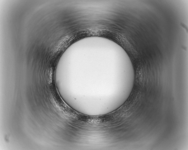 X0000101440694200807281023