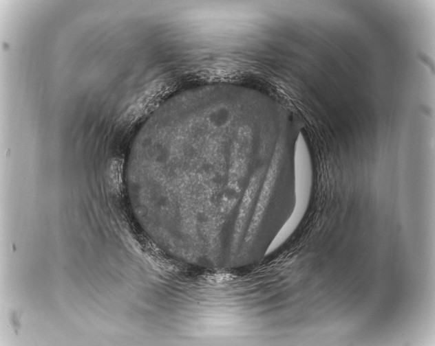 X0000101440695200807281023