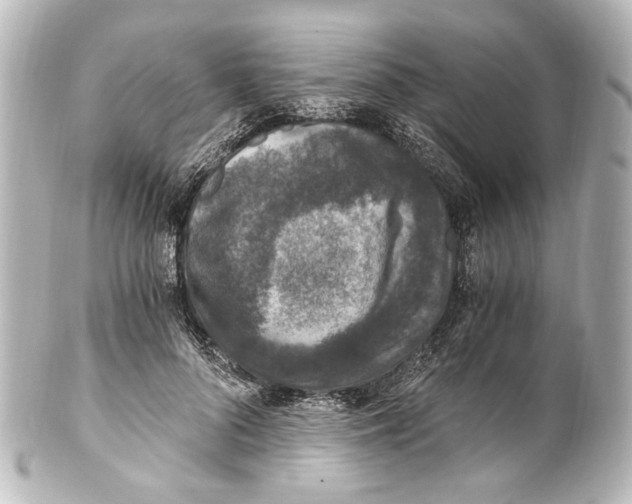 X0000101440696200807281023