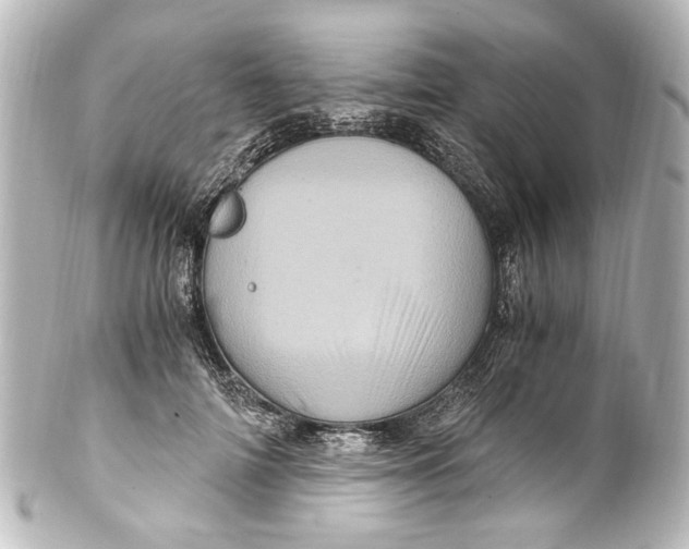 X0000101440698200807281023