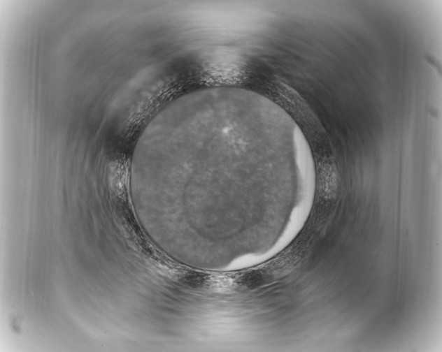 X0000101440701200807281023