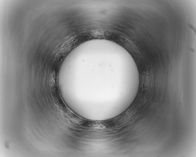 X0000101440702200807281023