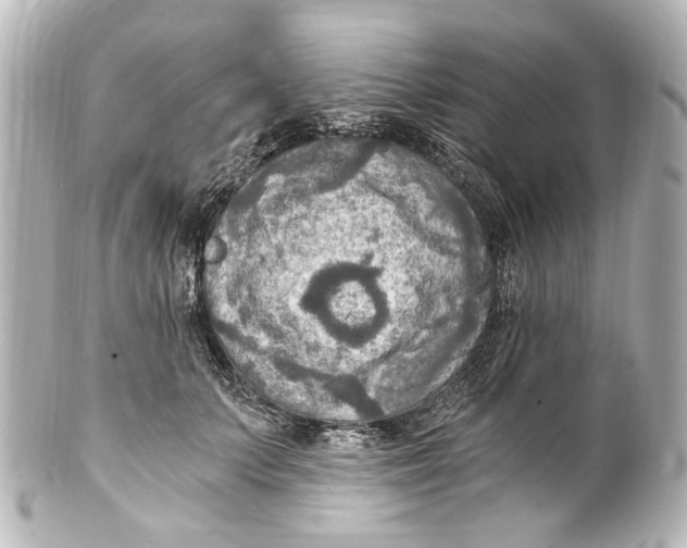 X0000101440703200807281023