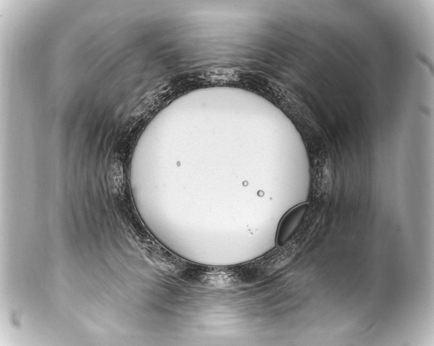 X0000101440704200807281023