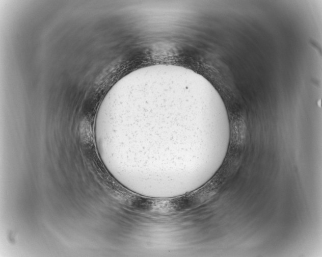 X0000101440705200807281023