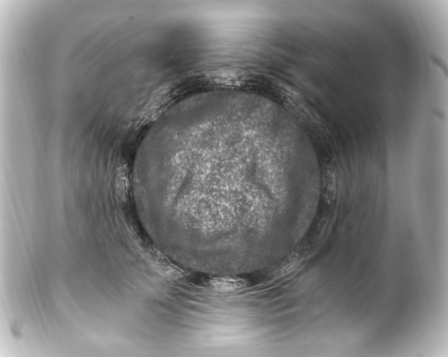 X0000101440707200807281023