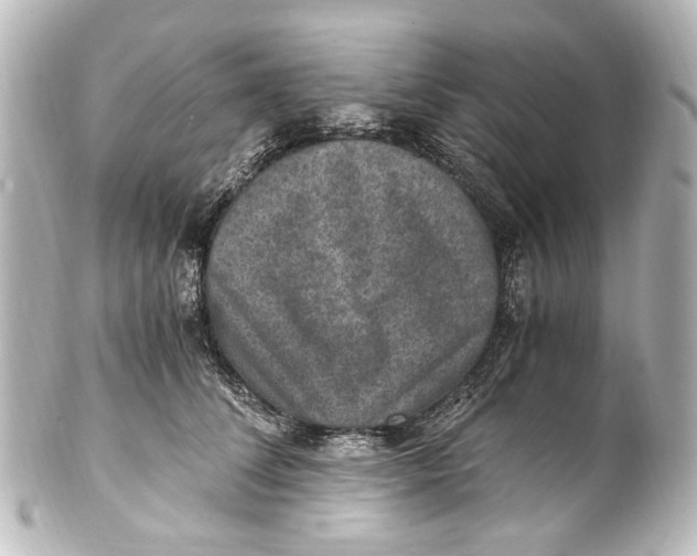 X0000101440708200807281023