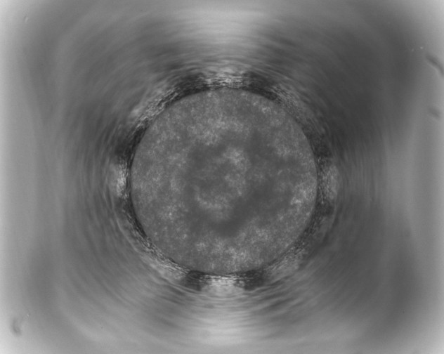 X0000101440709200807281023