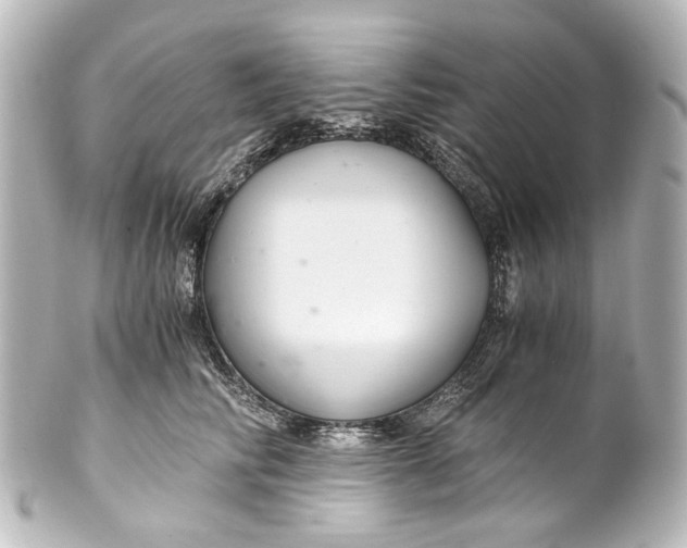 X0000101440710200807281023