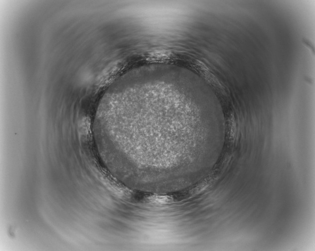 X0000101440711200807281023