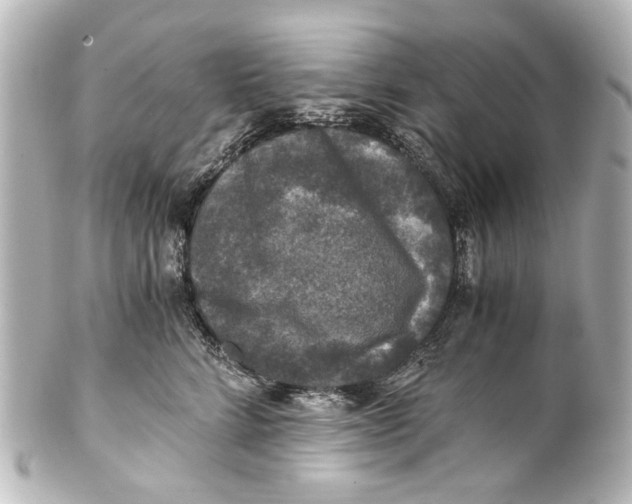 X0000101440712200807281023