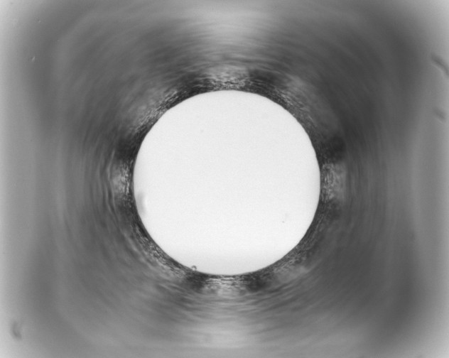 X0000101440713200807281023