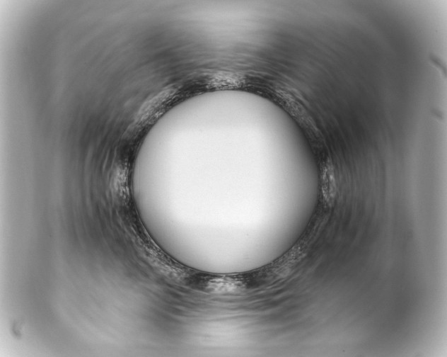 X0000101440714200807281023