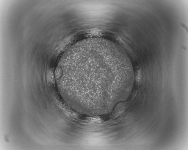 X0000101440715200807281023