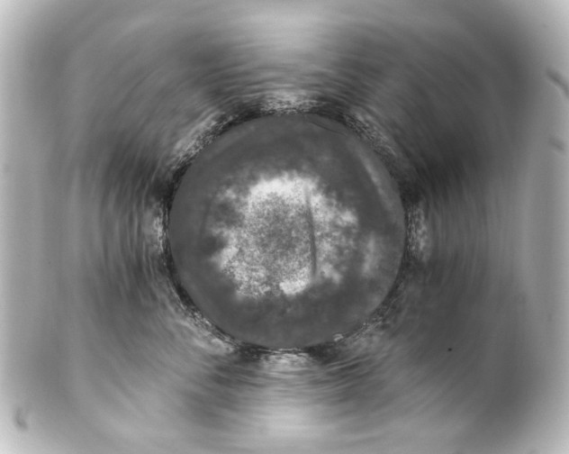 X0000101440716200807281023