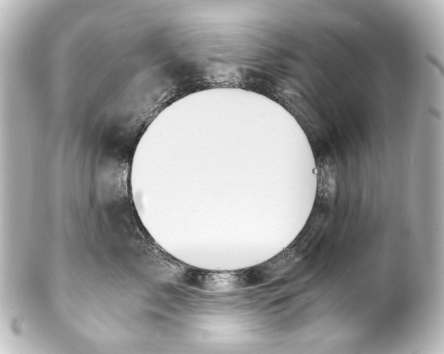 X0000101440717200807281022