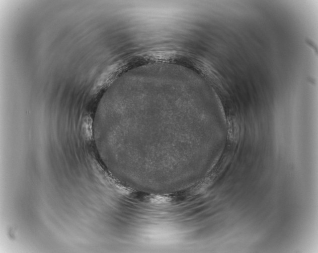 X0000101440718200807281022