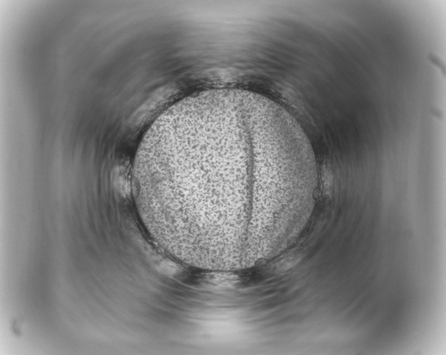 X0000101440719200807281022