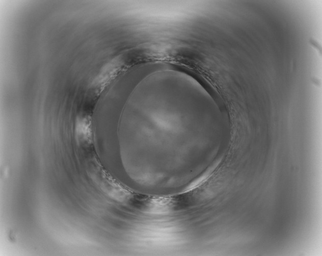 X0000101440720200807281022