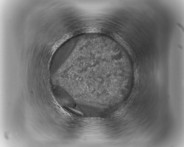 X0000101440721200807281022