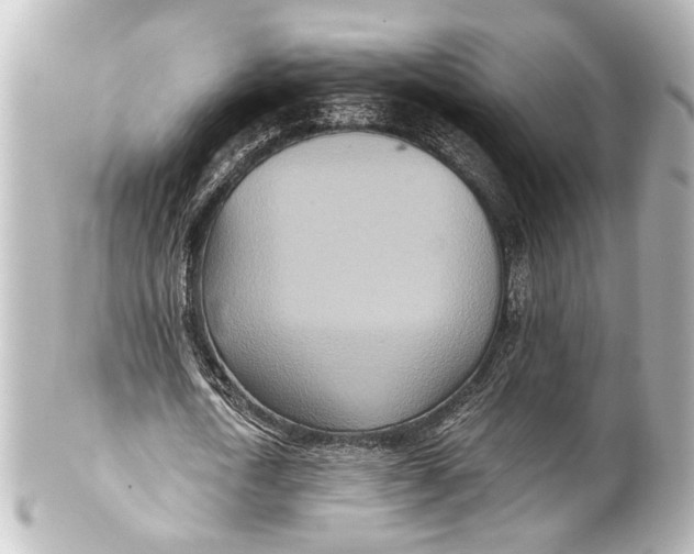 X0000101440722200807281022