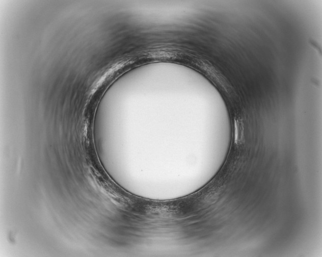 X0000101440723200807281022