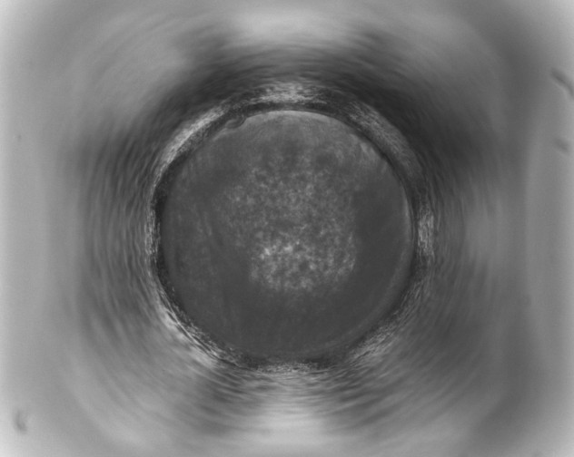 X0000101440724200807281022