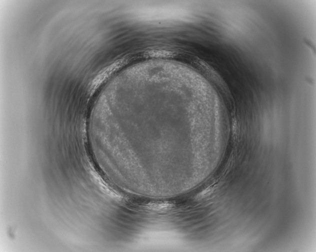 X0000101440725200807281022