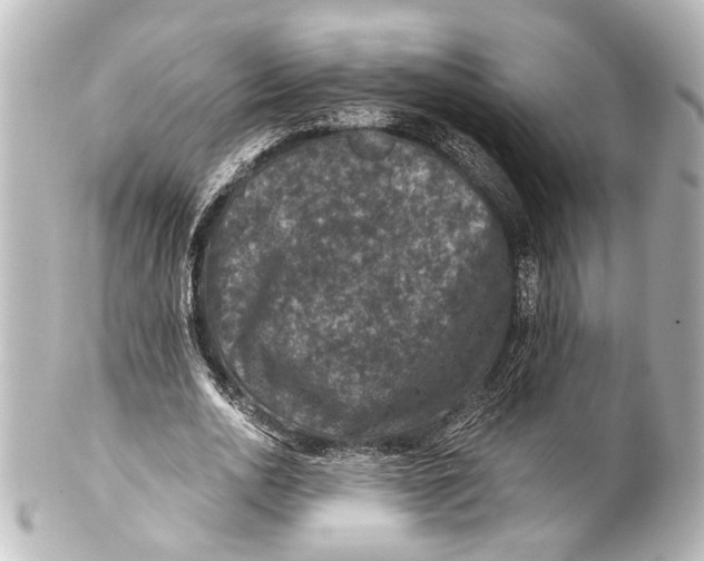 X0000101440726200807281022