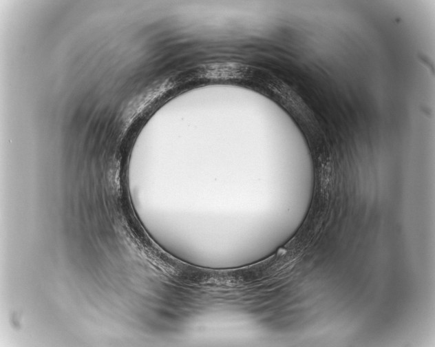 X0000101440727200807281022