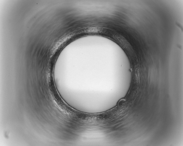 X0000101440728200807281022