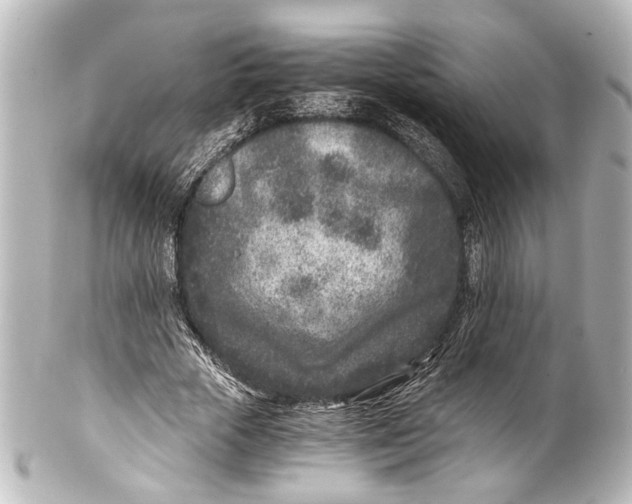 X0000101440729200807281022