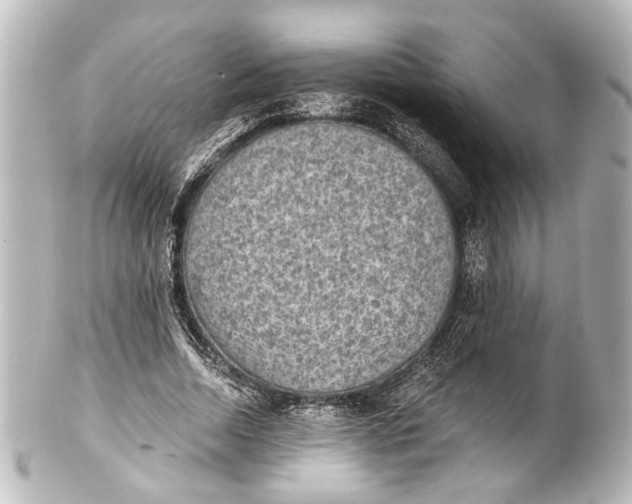 X0000101440730200807281022