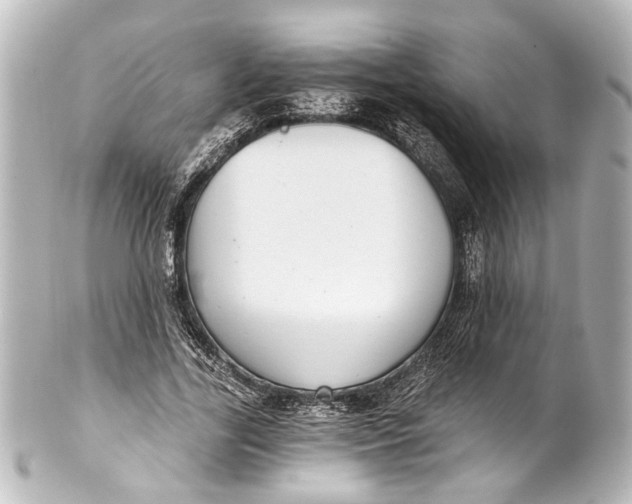 X0000101440731200807281022