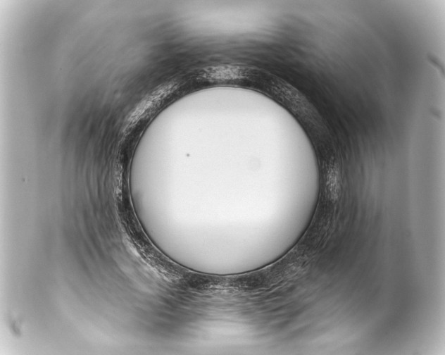 X0000101440732200807281022