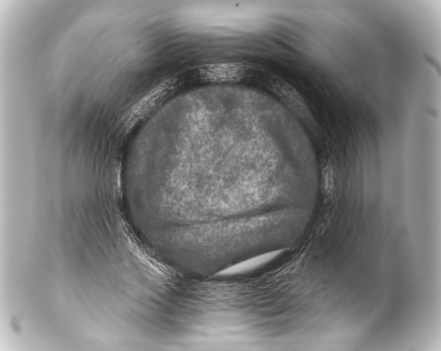 X0000101440733200807281022