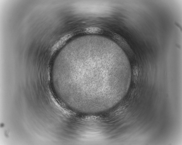 X0000101440734200807281022