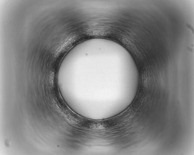 X0000101440735200807281022