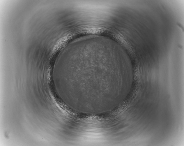 X0000101440736200807281022