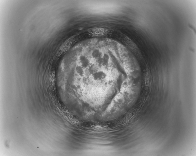 X0000101440737200807281022