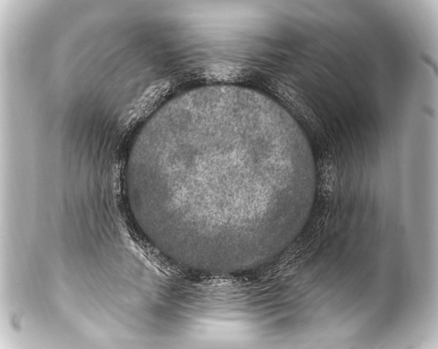 X0000101440738200807281022