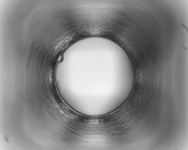 X0000101440740200807281022