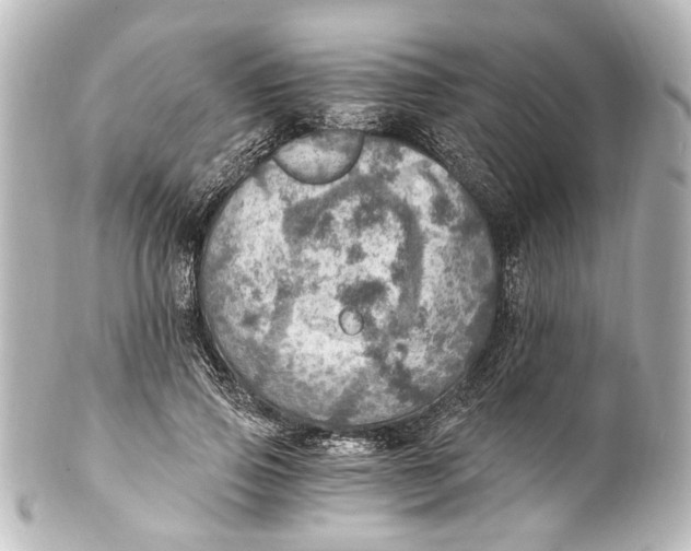 X0000101440741200807281022