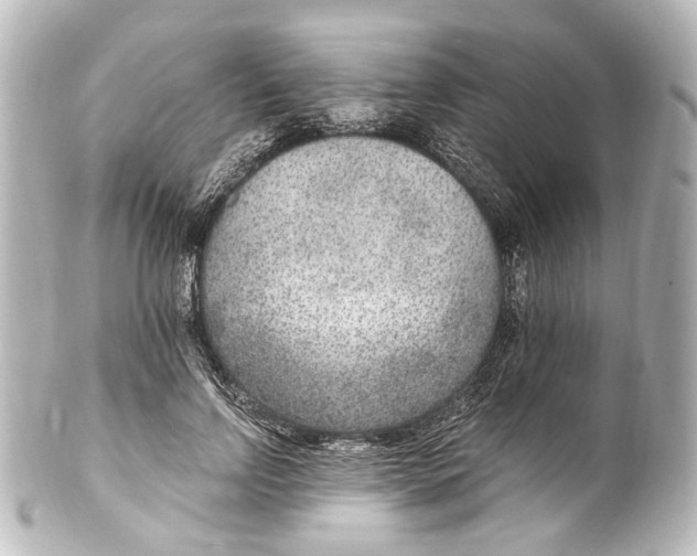 X0000101440742200807281022