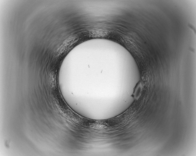 X0000101440743200807281022