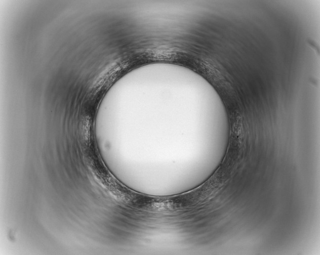 X0000101440744200807281022