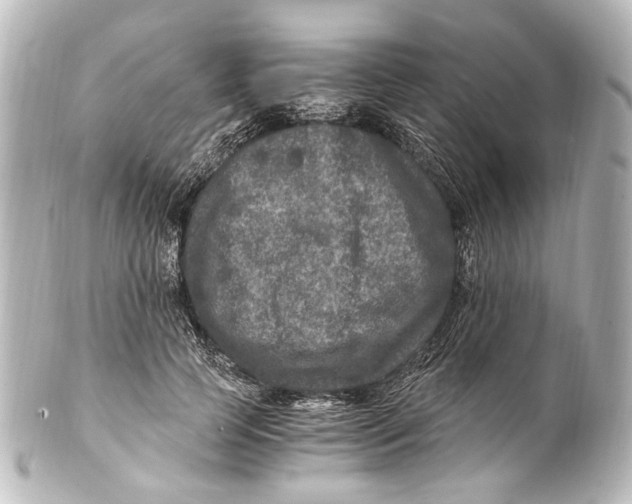 X0000101440745200807281022