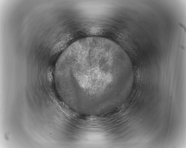 X0000101440746200807281022