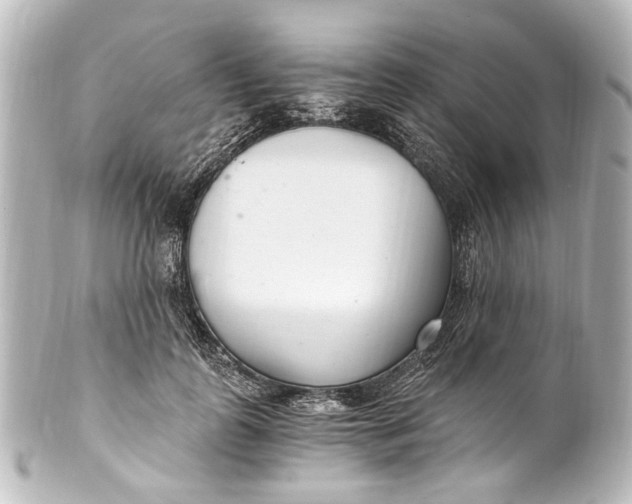 X0000101440747200807281022